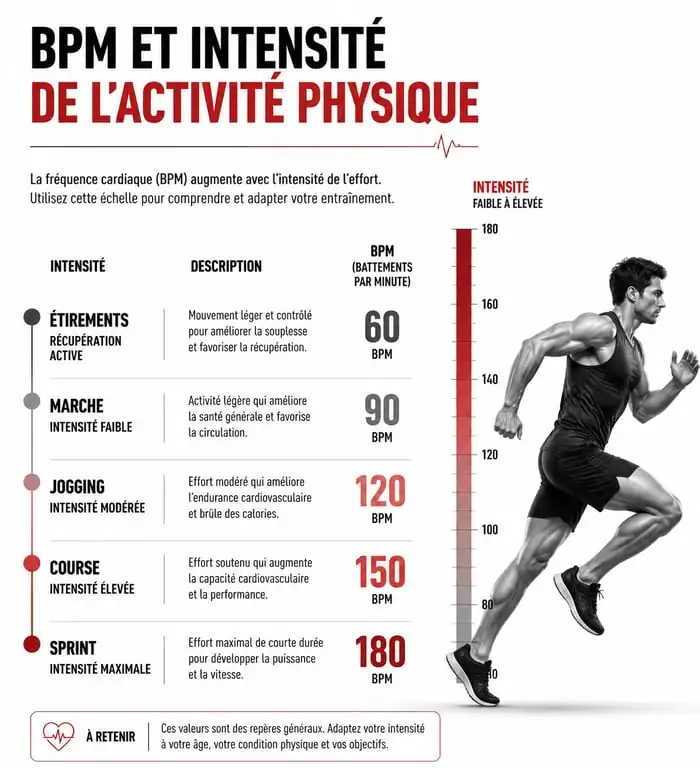 Infographie des plages de BPM recommandées pour le fitness et l'entraînement sportif